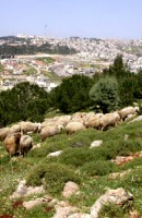 Nazareth